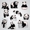 Set of stylized pandas in different positions