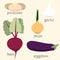 Set of stylized vector vegetables