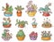 Set of succulent compositions in containers, colorful drawing, isolated