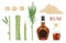 Set of sugarcane and field. sugarcane logo. Cane leaf, sugarcane juice. Sugar cane, sweet plant, natural green stem. Glass and