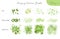 Set of summer vector foliage ecology brushes - silhouettes of summer leaves, foliage of trees, different greenery types