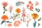 Set of Summer wild Floral, Greeting Card with Blooming garden flowers, orange botanical natural Illustration