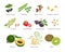 Set of superfood isolated. Vector illustration