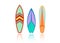 Set surfboard colorful . Sea extreme sport pattern. Vector illustration