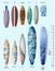 Set of Surfboards with Sizes