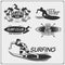 Set of surfing emblems, labels and badges. Surf design elements.