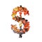 set of symbols made of multicolored granules, 3d rendering, dollar