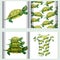Set for t-shirt design seamless pattern Pond slider turtle green