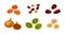 Set of tasty dried fruits on white background. Vector dried peach, raisin, date, fig, kiwi and banana in cartoon style