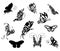 Set of Tattoo butterflies. Tattoo design