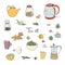 Set tea party objects. Collection with hand drawn kettle,jar,lemon,leaf,cup,ginger,cinnamon. vector colorful