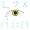 A set of tears, eyes with tears. Cartoon illustration of crying