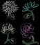 Set of textured contour drawings decorative vintage flowers