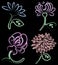 Set of textured contour drawings decorative vintage flowers1