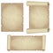 Set textured papyrus scrolls isolated on white backgrund. Vector.