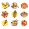 Set of thanksgiving hand drawn icons, isolated s