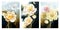 A set of three abstract hand painted oil painting flower art backgrounds, composition photo wall hanging pictures