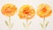 Set of Three Abstract Watercolor Marigold Petals AI Generated