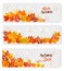 Set Of Three Autumn Sale Banners With Colorful Leaves