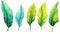 Set of Three Bold Watercolor Banana Leaf Veins AI Generated