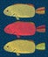 Set of three colored fish