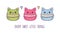 Set of three colorful macaron cats with different smiling faces