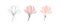 Set of three Cute blooming magnolia twigs.Vector illustration