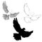 Set of three dove icon, black and white