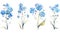 Set of Three Dreamy Watercolor Forget-Me-Nots AI Generated