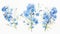 Set of Three Dreamy Watercolor Forget-Me-Nots AI Generated