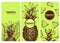 Set of three exotic labels with pineapple. Great for organic food, medicine, perfume design, cooking or gardening. Retro