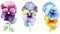 Set of Three Expressive Watercolor Pansy Petals AI Generated