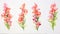 Set of Three Expressive Watercolor Snapdragon Mount AI Generated