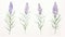 Set of Three Intricate Watercolor Lavender Sprigs AI Generated