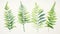 Set of Three Lush Watercolor Fern in Varying Shades AI Generated