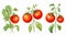 Set of Three Lush Watercolor Tomato Plant Fruits AI Generated