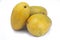 Set of three mangoes images on good quality