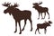 Set of three moose silhouettes