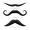 A set of three moustache