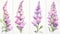 Set of Three Mystical Watercolor Foxglove Flowers AI Generated