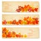 Set of three nature banners with colorful autumn leaves.