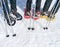 set of three pairs of snowshoes or rackets of snow and two ski poles of a group of sport people on the snow ready to walk on the