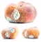 set of three peach with growing mold, isolated on white background
