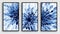 A set of three posters with blue flowers, zen decor.