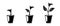 Set three potted plants glyph icons. Gardening home design elements. Phases plant growing. Growth Infographic and