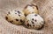 Set of three raw quail eggs with spotted surface on a sackcloth. Close up