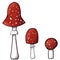 Set of three redcap fly agarics. Hand-drawn poisonous mushrooms with dots on red caps and ring on grey stipe isolated on