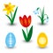 Set of three spring flowers and two easter eggs with pattern - red tulip, yellow daffodil and white snowdrop