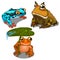 Set of three toads, different colors. Vector