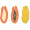 Set of three types of papaya â€“ half, with bones, in the skin. Vector illustration